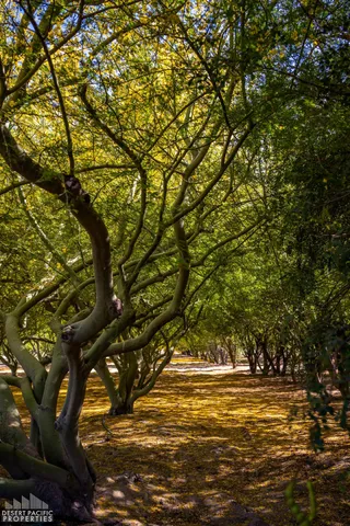 $30,000,000 | 82501 65th Avenue, Thermal, CA 92274