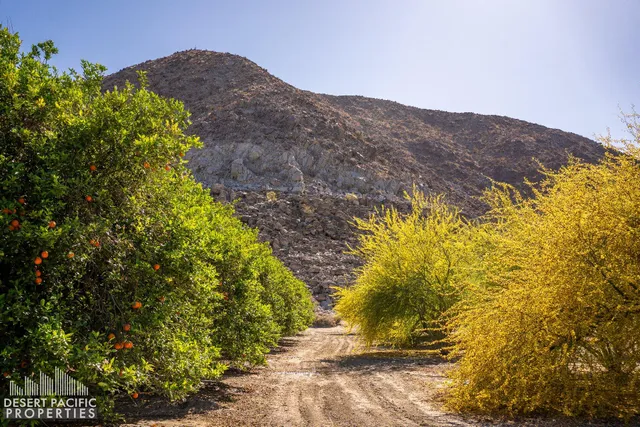 $30,000,000 | 82501 65th Avenue, Thermal, CA 92274