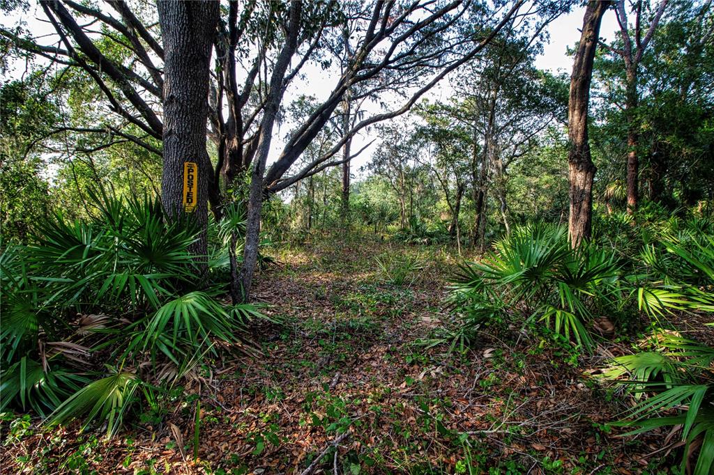 Long Rifle Wimauma, FL 33598 - Photo 1 of 1 Interior view of secluded lot