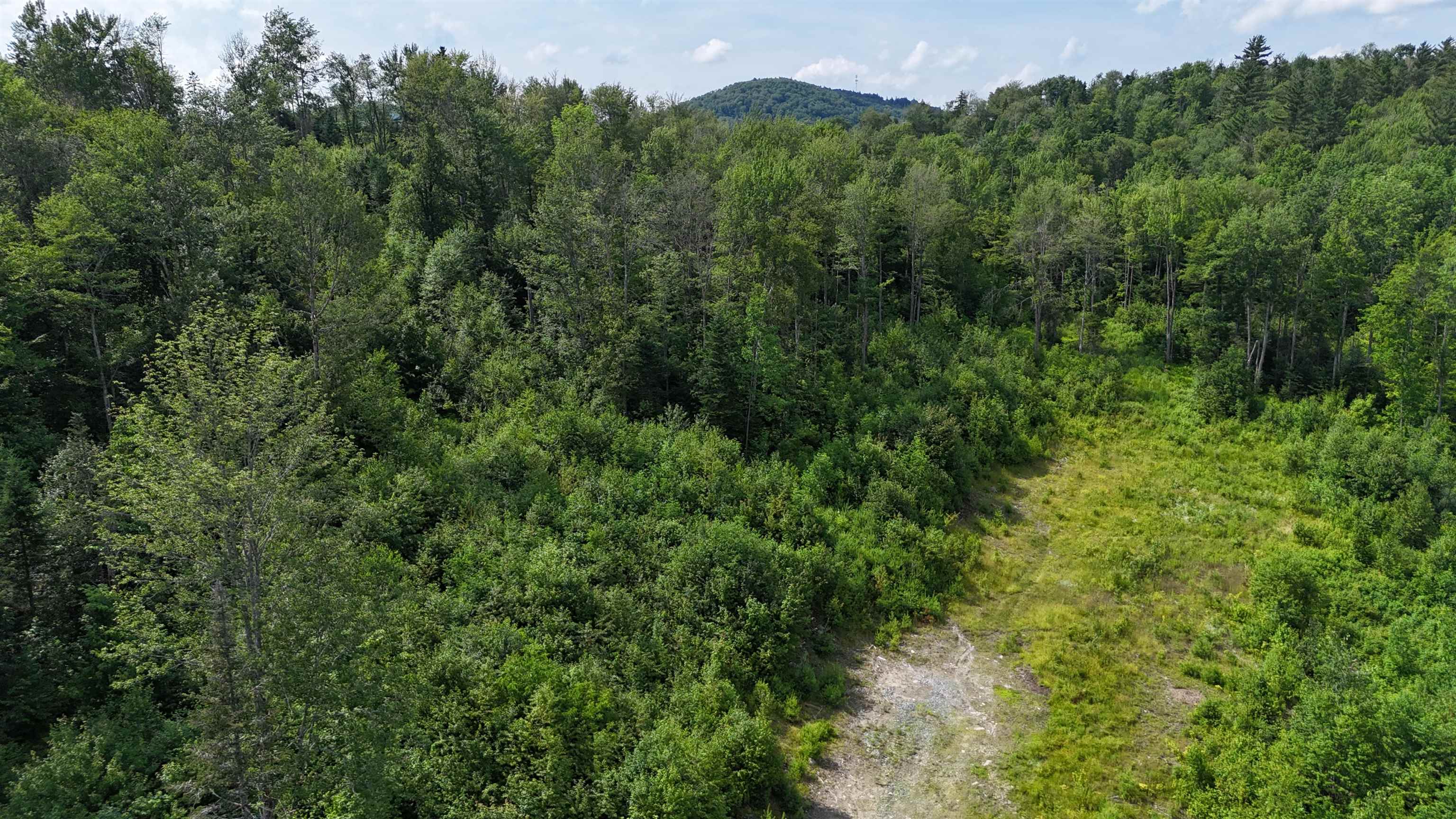 0 Old Pond Hill Road Lunenburg, VT 05906 - Photo 11 of 13