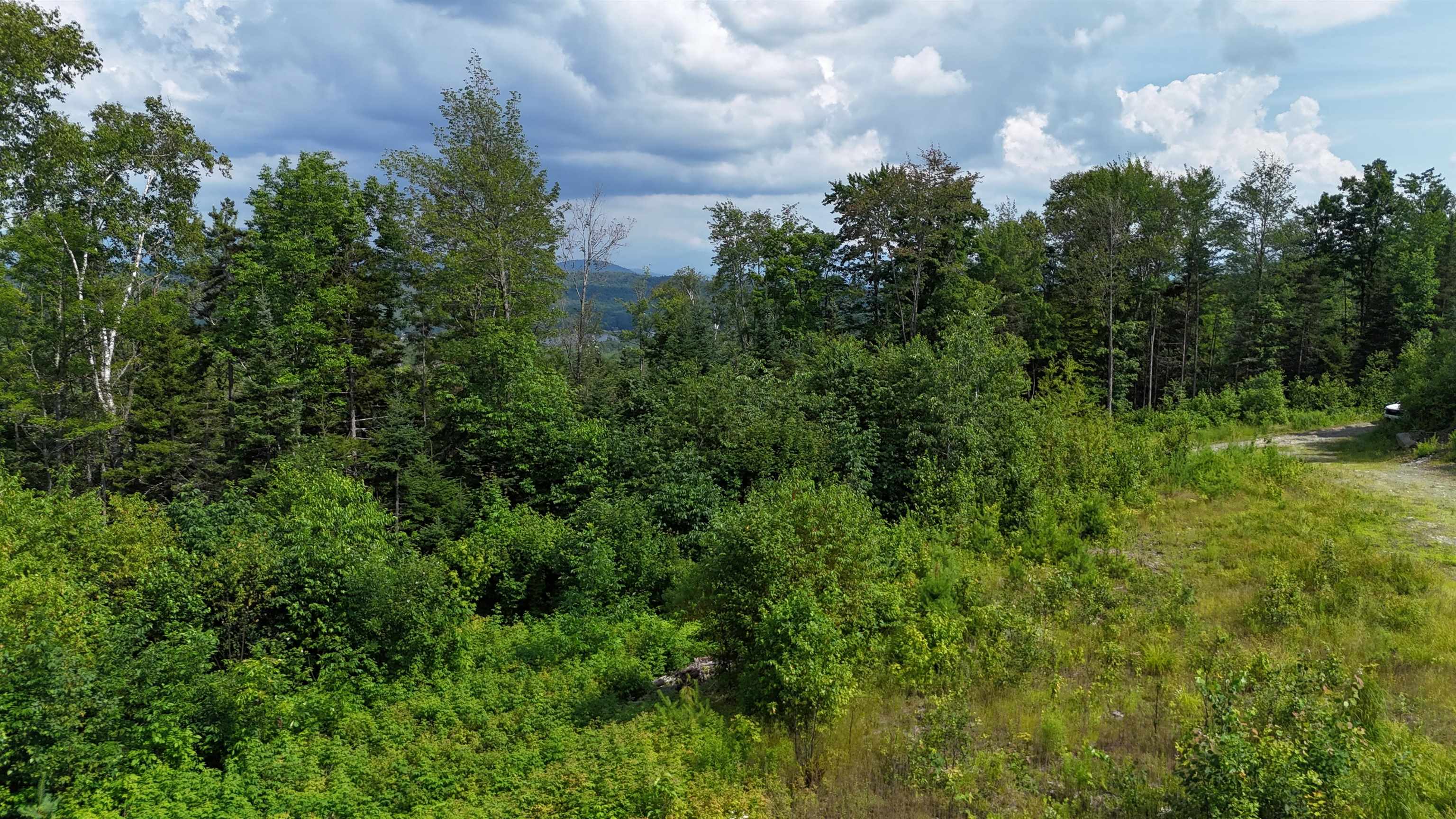 0 Old Pond Hill Road Lunenburg, VT 05906 - Photo 4 of 13