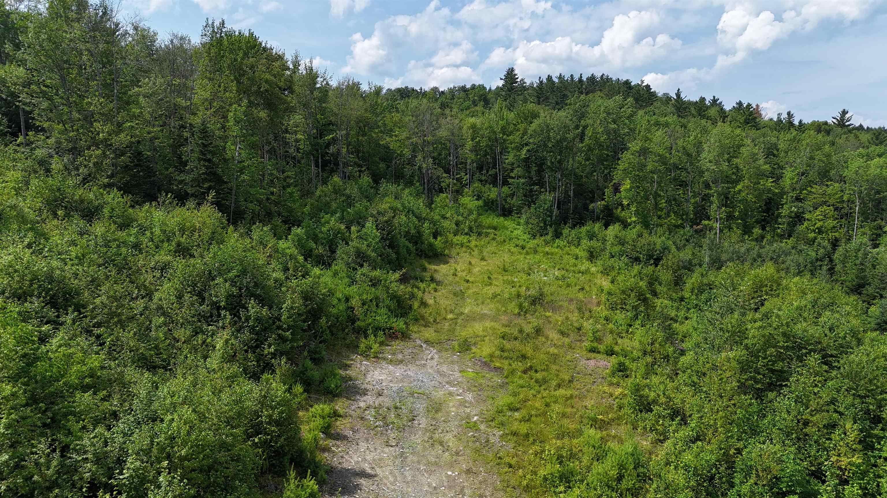 0 Old Pond Hill Road Lunenburg, VT 05906 - Photo 5 of 13