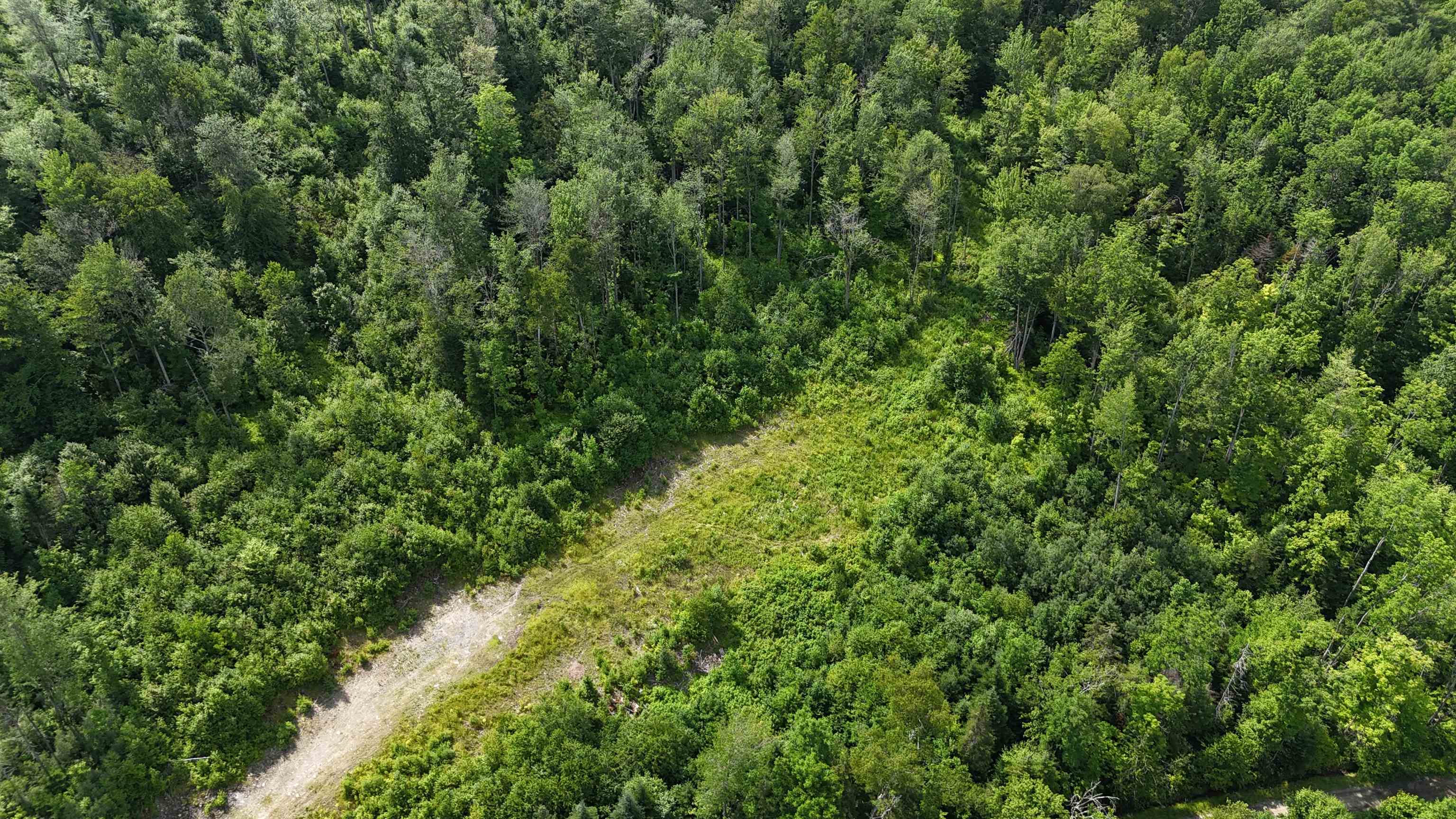 0 Old Pond Hill Road Lunenburg, VT 05906 - Photo 7 of 13