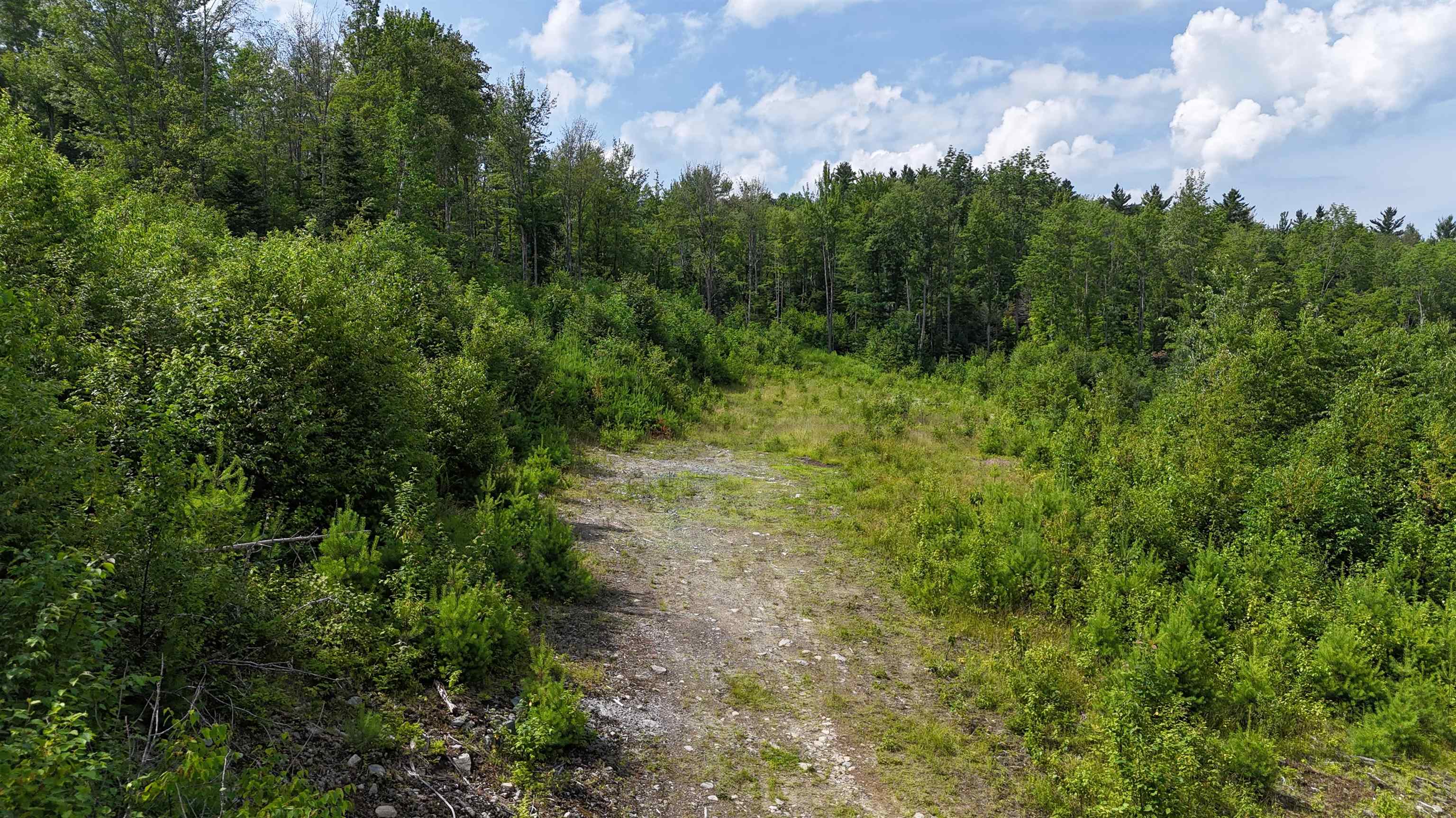 0 Old Pond Hill Road Lunenburg, VT 05906 - Photo 9 of 13