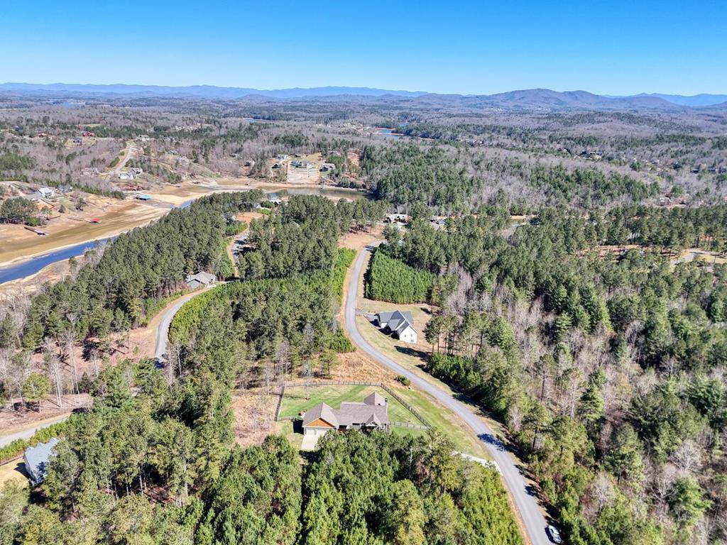1309 Ridge Pointe Way Blairsville, GA 30512 - Photo 60 of 73 an aerial view of a house with a yard