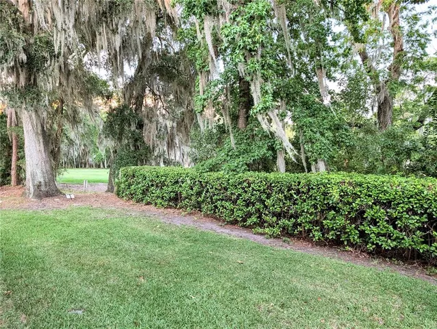 a view of backyard with green space