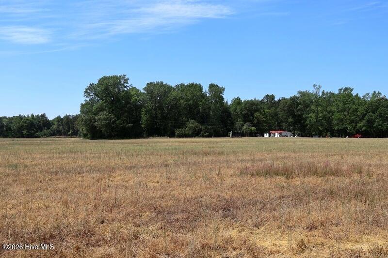 Tbd North Tbd N Duffie North Road Red Springs, NC 28377 - Photo 25 of 25 IMG_0183
