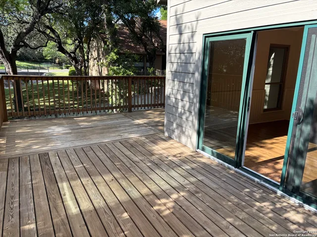 a view of backyard with wooden floor and a potted plant