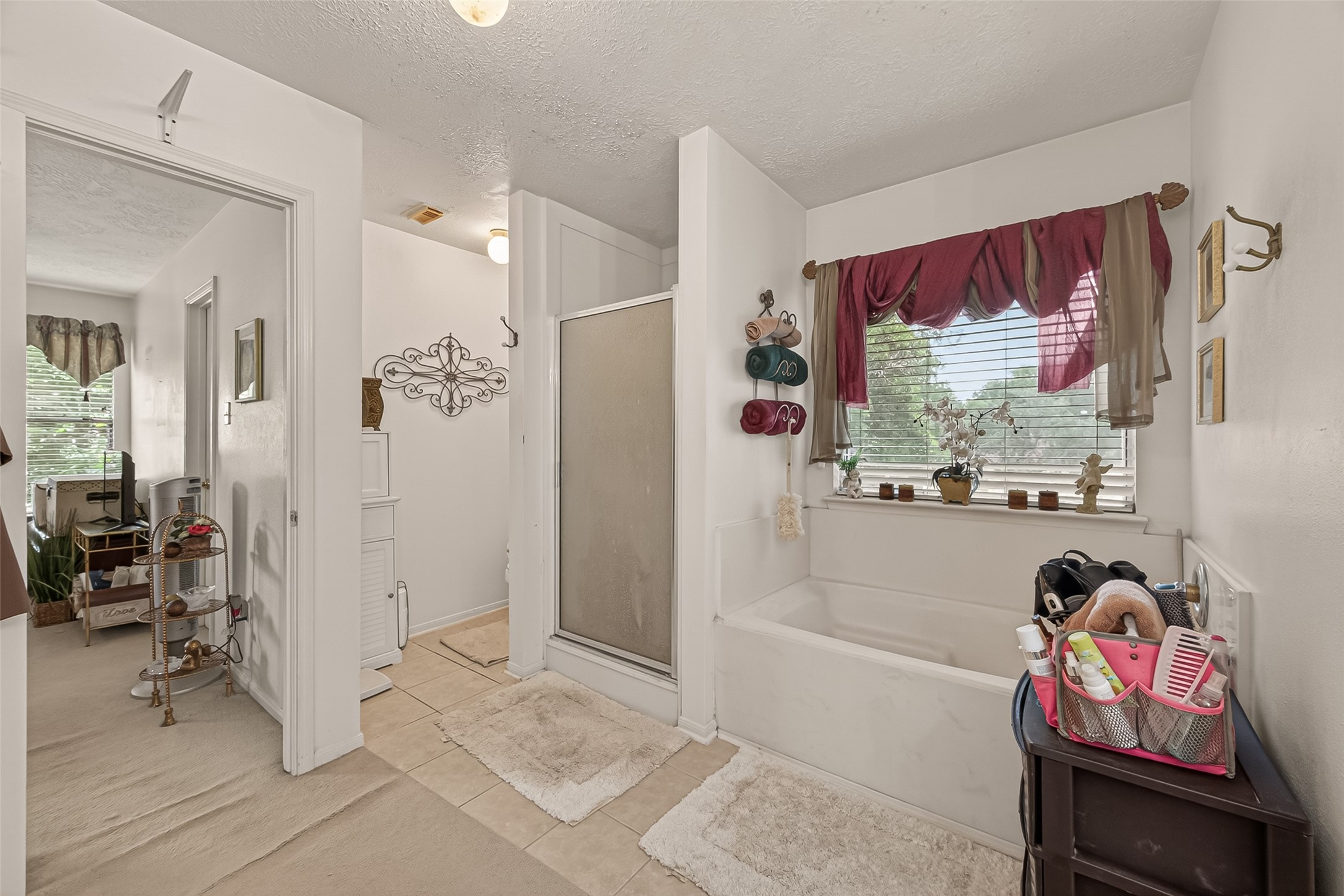21514 Bluebonnet Meadow Lane Spring, TX 77388 - Photo 23 of 44