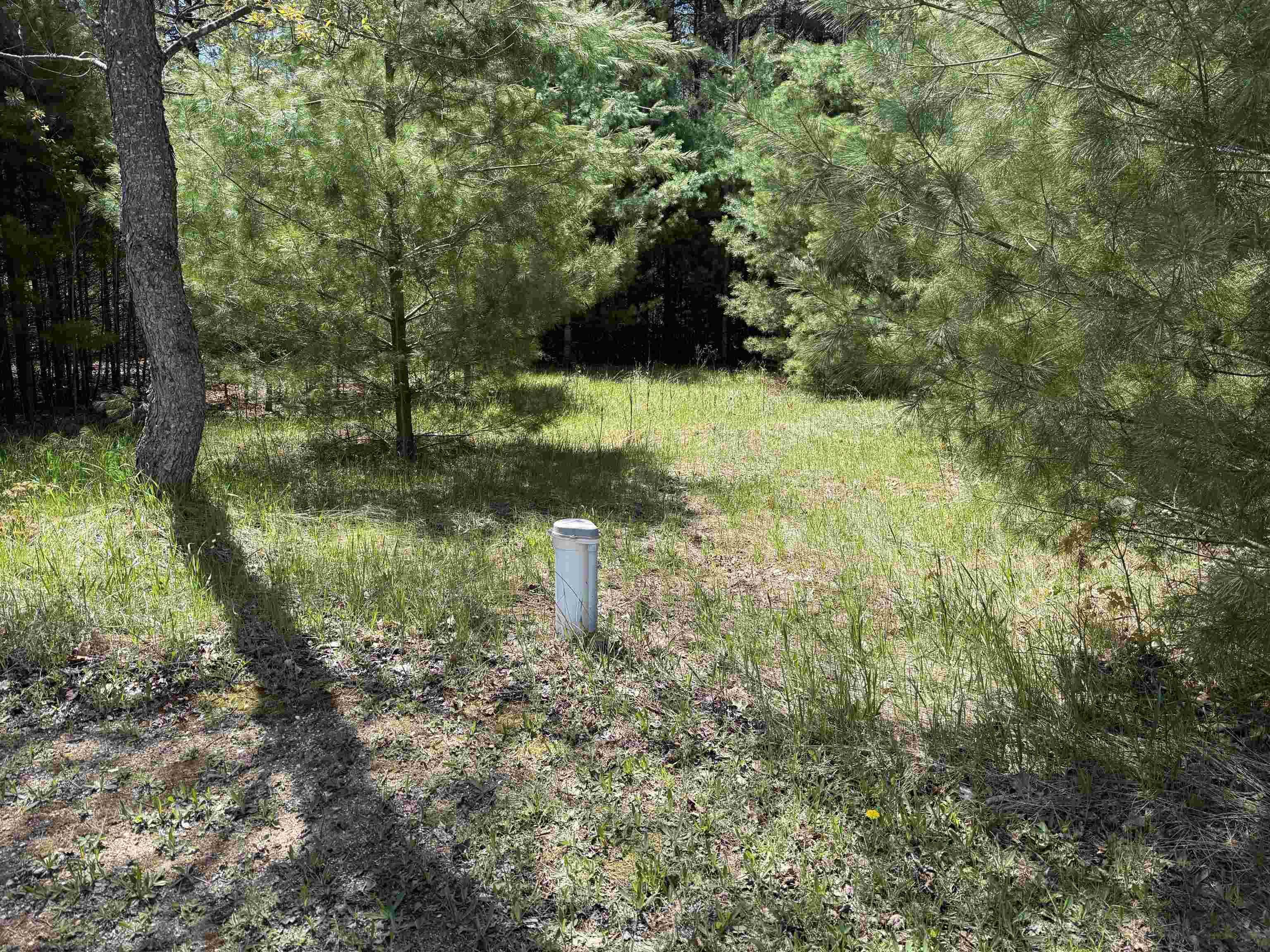 7274 South Forward Road McBain, MI 49657 - Photo 50 of 76