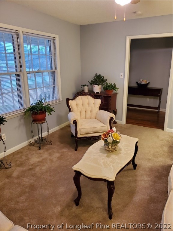 6427 Freeport Road Fayetteville, NC 28303 - Photo 32 of 34 Gallery Image 32