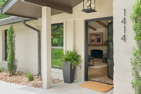 a potted plant sitting in front of a glass door