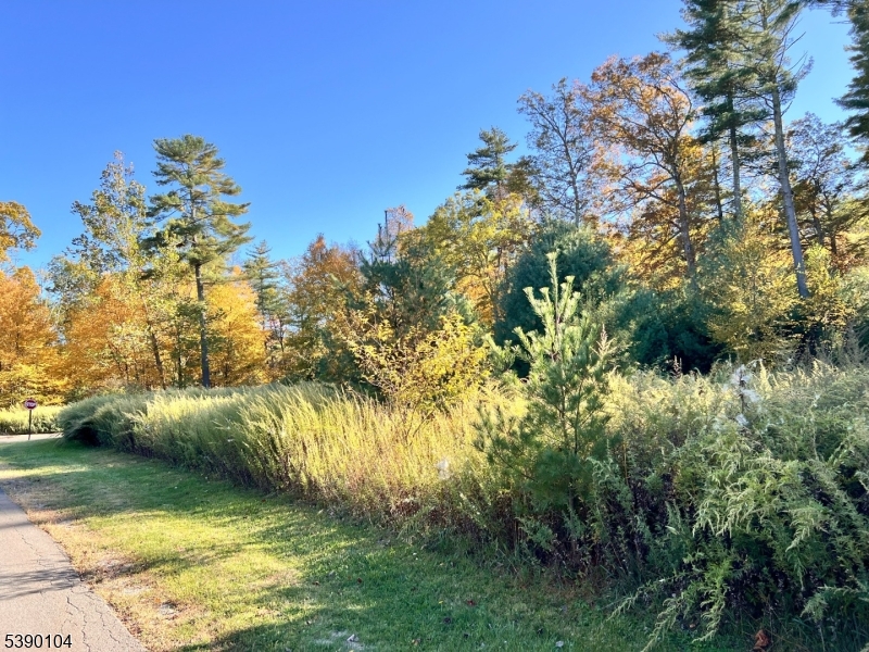 638 Sleepy Hollow Road Montague, NJ 07827 - Photo 1 of 20 a view of yard with green space