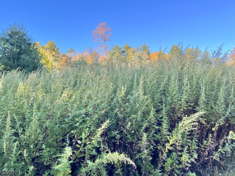 638 Sleepy Hollow Road Montague, NJ 07827 - Photo 12 of 20 a view of a city
