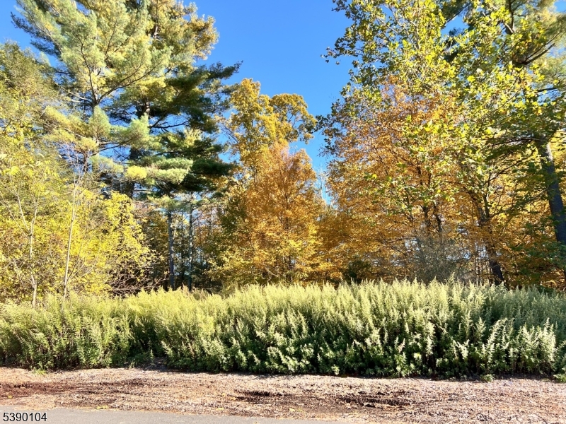 638 Sleepy Hollow Road Montague, NJ 07827 - Photo 15 of 20 a view of a yard