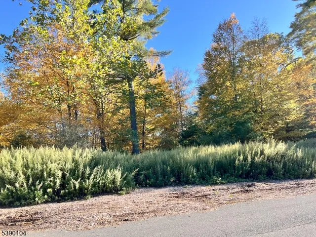 $25,000 | 638 Sleepy Hollow Road, Montague, NJ 07827