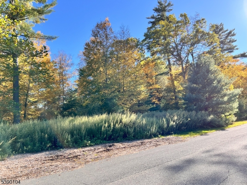 638 Sleepy Hollow Road Montague, NJ 07827 - Photo 19 of 20 a view of a street