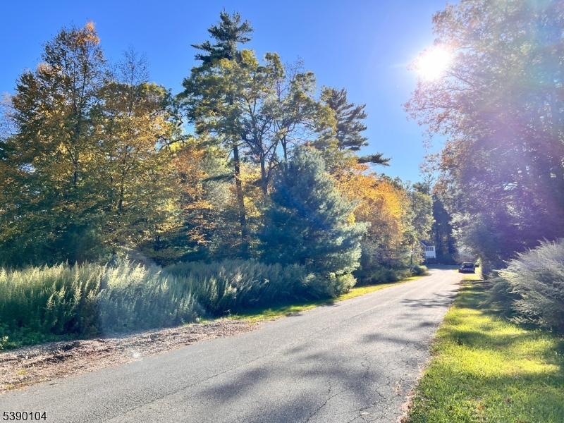638 Sleepy Hollow Road Montague, NJ 07827 - Photo 20 of 20 a view of road and trees