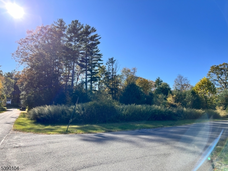 638 Sleepy Hollow Road Montague, NJ 07827 - Photo 2 of 20 a backyard of a house