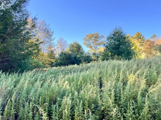 $25,000 | 638 Sleepy Hollow Road, Montague, NJ 07827