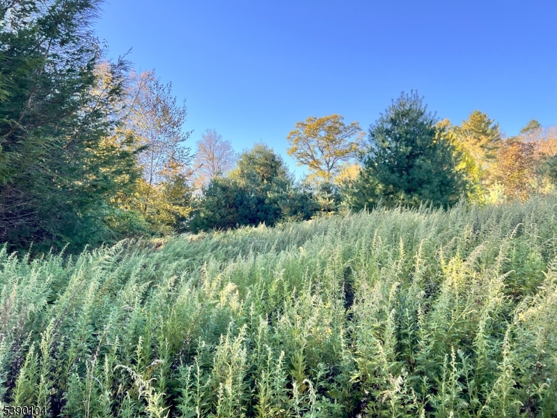 638 Sleepy Hollow Road Montague, NJ 07827 - Photo 5 of 20 a view of a lush green space