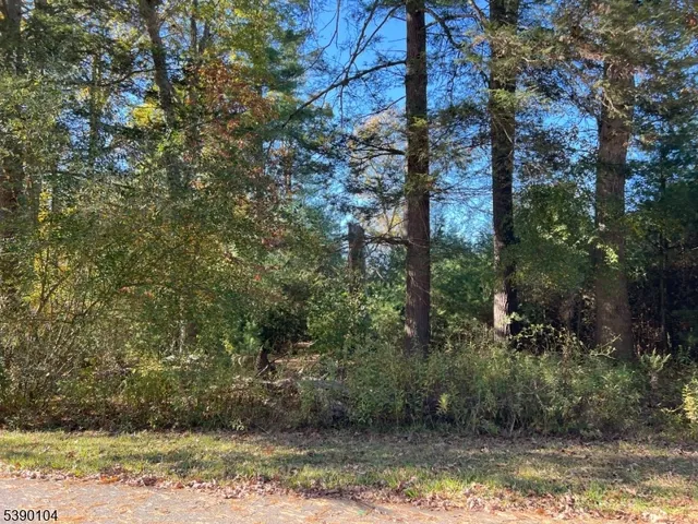 $25,000 | 638 Sleepy Hollow Road, Montague, NJ 07827