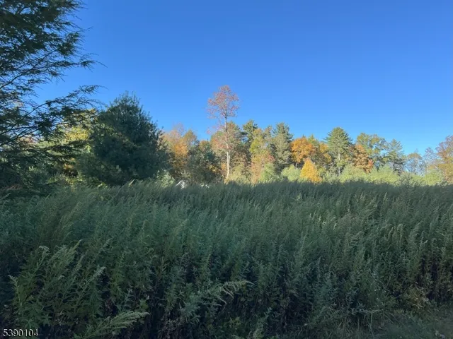 $25,000 | 638 Sleepy Hollow Road, Montague, NJ 07827