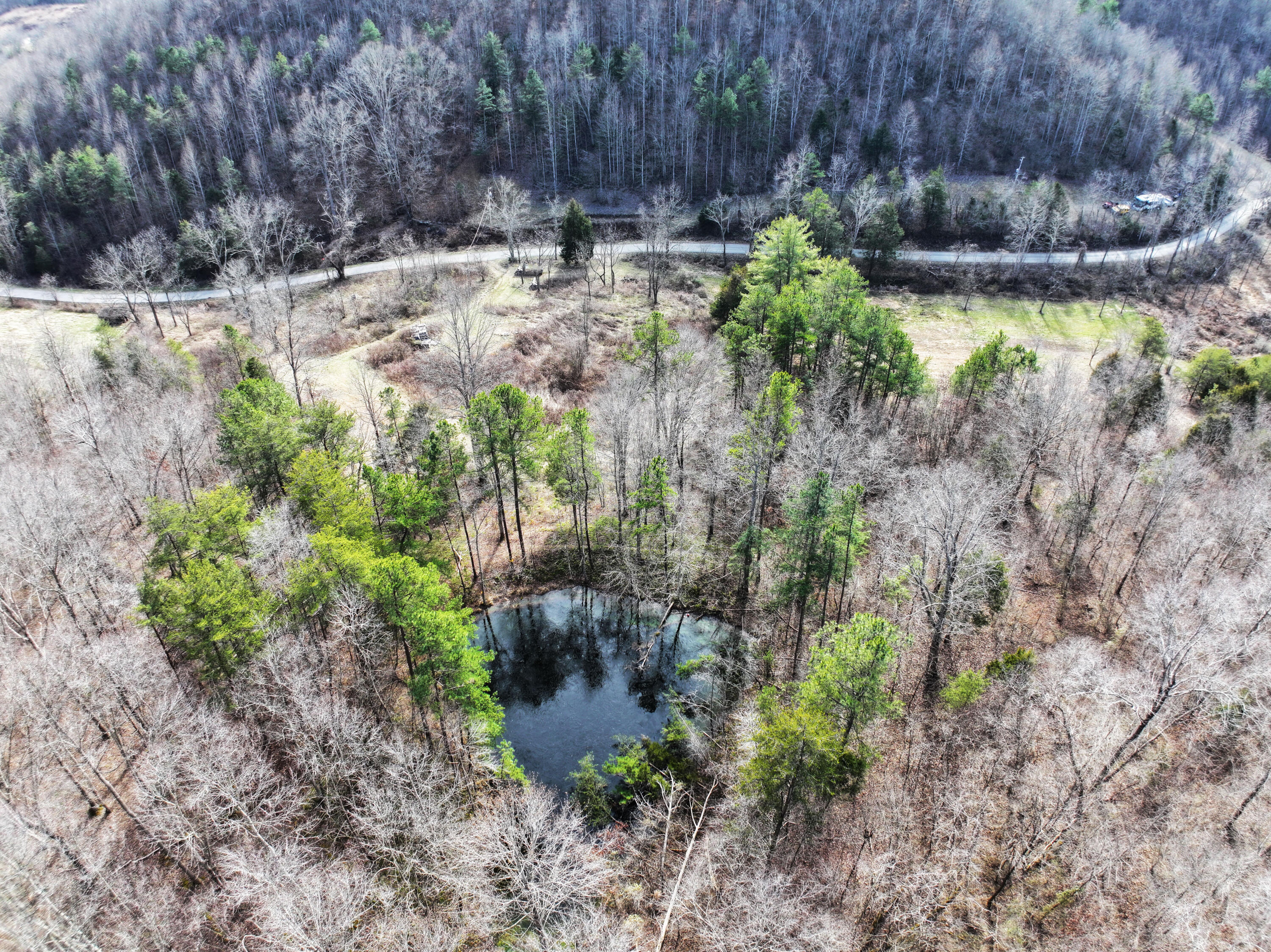 9999 Judd Road Booneville, KY 41314 - Photo 3 of 13 Build your dream home just minutes from the Red River Gorge, or turn this peaceful setting into an income opportunity with primitive camping sites nestled around the water feature and woods!