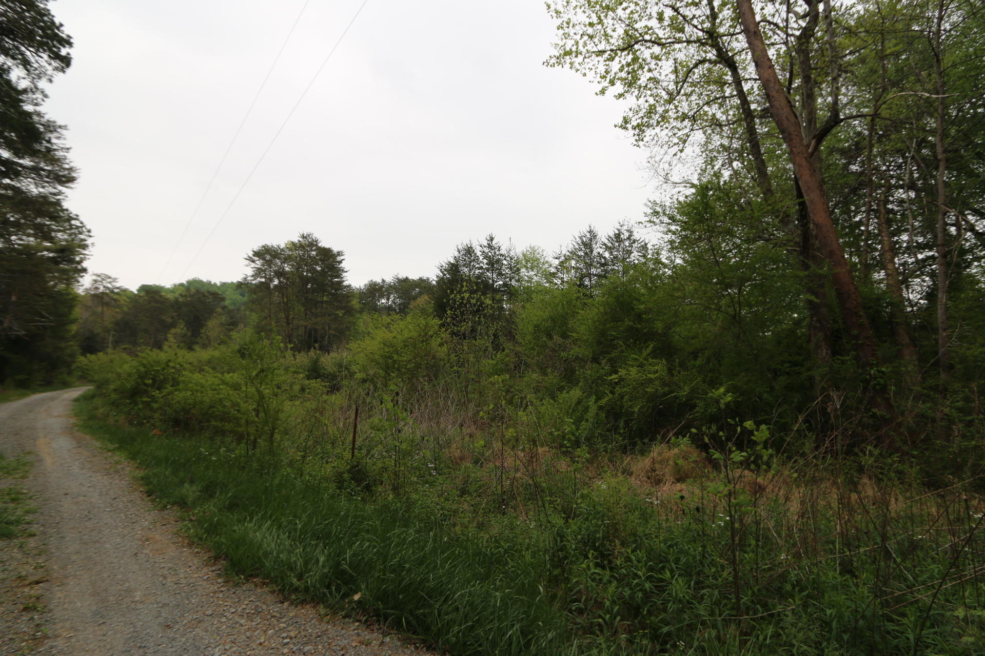 1 Charlie Road Tellico Plains, TN 37385 - Photo 12 of 15 IMG_8722