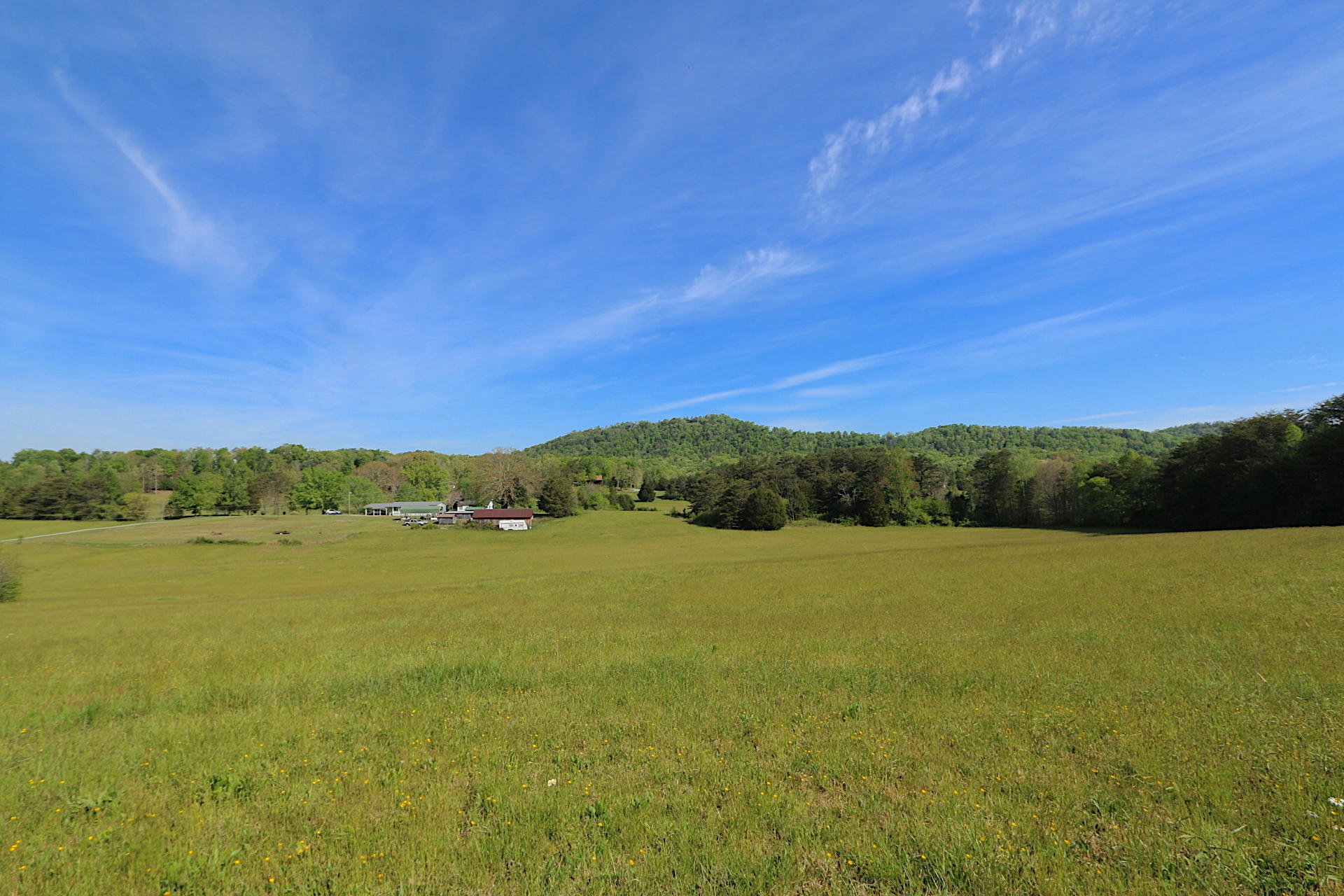1 Charlie Road Tellico Plains, TN 37385 - Photo 8 of 15 IMG_8834