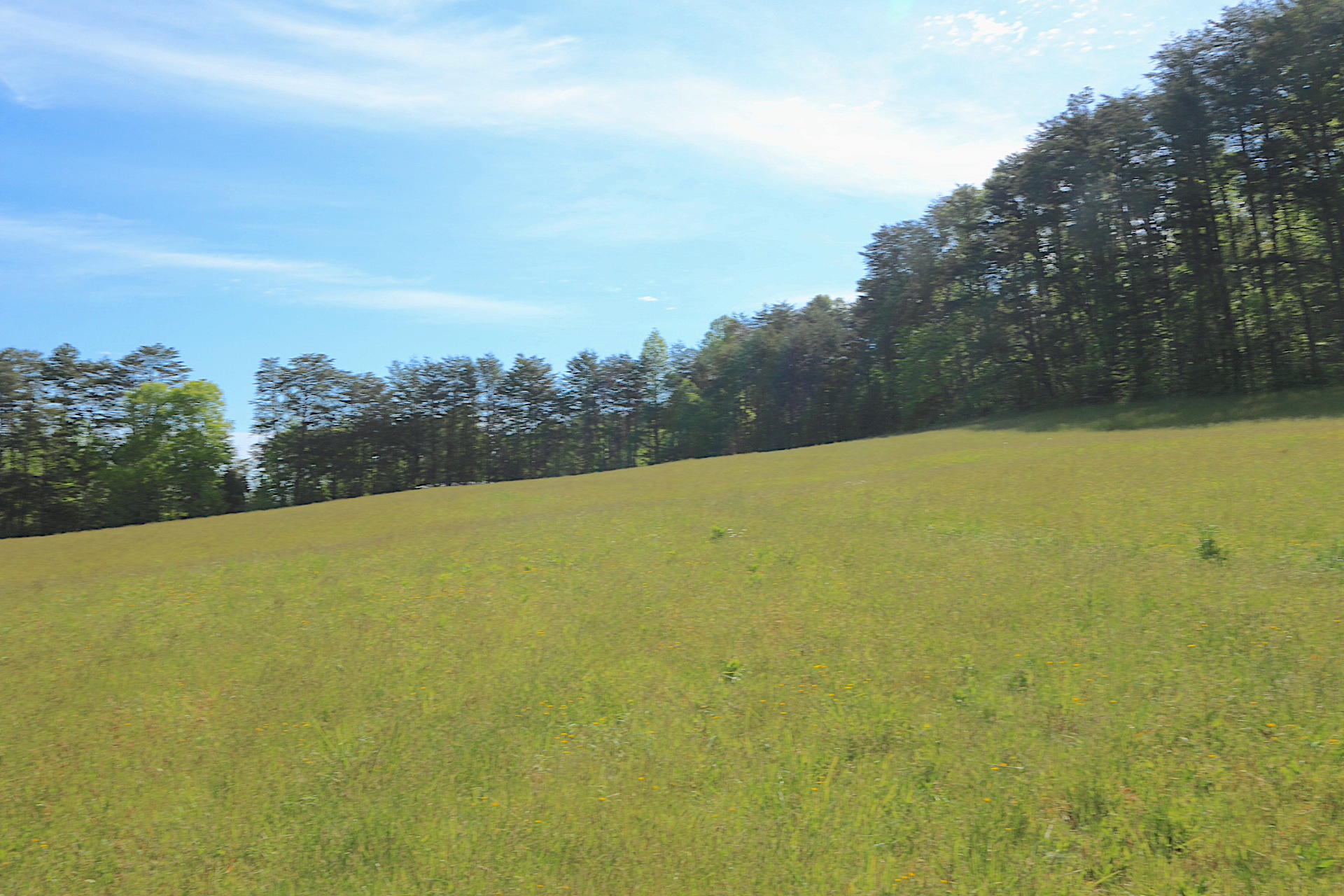 1 Charlie Road Tellico Plains, TN 37385 - Photo 9 of 15 IMG_8830