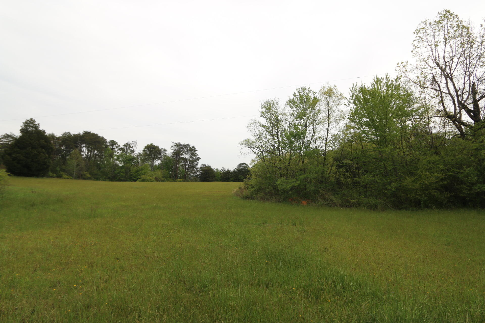 1 Charlie Road Tellico Plains, TN 37385 - Photo 10 of 15 IMG_8718