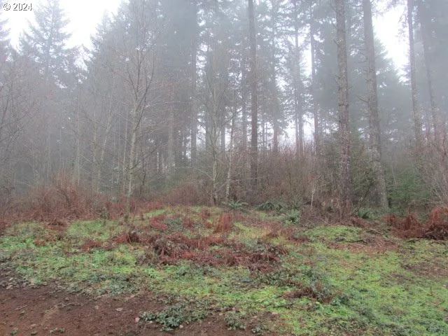 $329,000 | 19830 Sharon Tony Way Southeast, Silverton, OR 97381