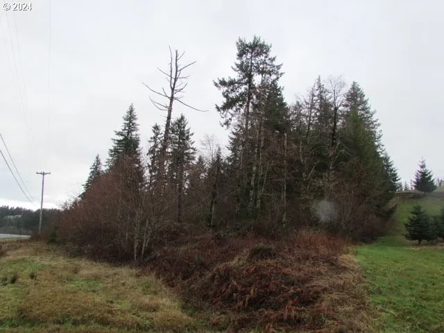 $329,000 | 19830 Sharon Tony Way Southeast, Silverton, OR 97381