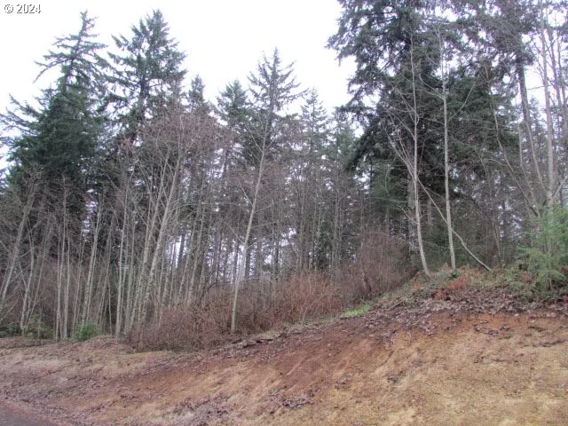 $329,000 | 19830 Sharon Tony Way Southeast, Silverton, OR 97381