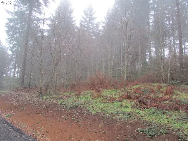 $329,000 | 19830 Sharon Tony Way Southeast, Silverton, OR 97381