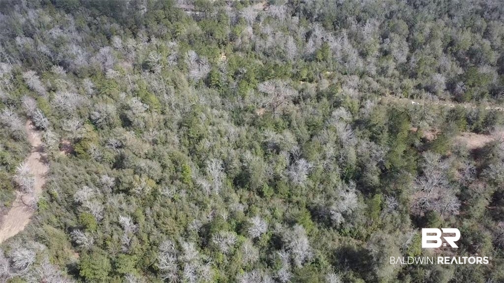 0 Chunchula Georgetown Road Chunchula, AL 36521 - Photo 6 of 15 Aerial view featuring a view of trees