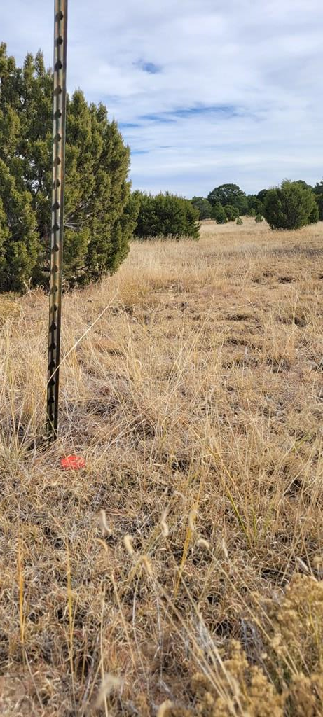 Lot 34 Silver Spur Road Walsenburg, CO 81089 - Photo 30 of 43