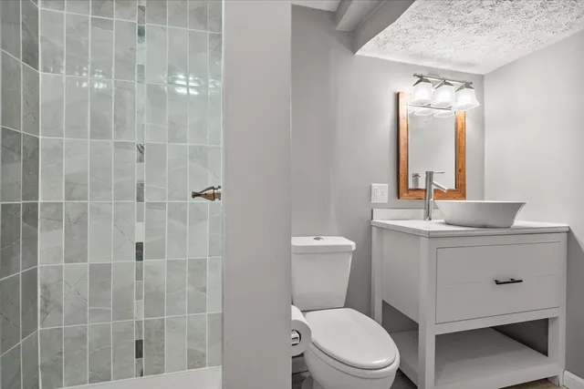 a bathroom with a toilet a sink a shower and mirror