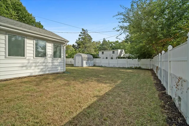 a view of a backyard with plants and large tree