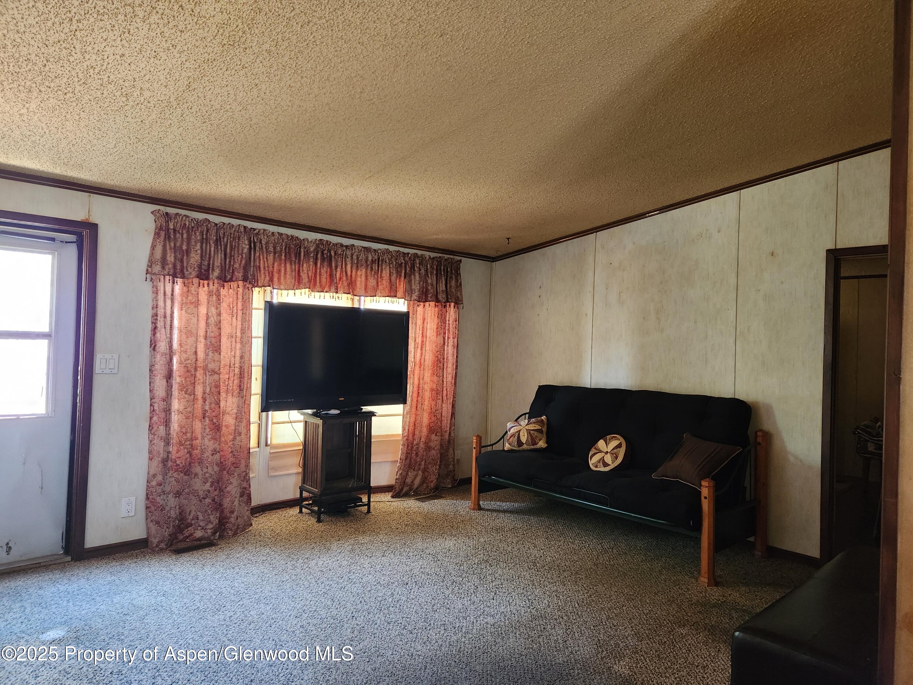 73 Silver Queen Circle Battlement Mesa, CO 81635 - Photo 4 of 13 20250422_102812