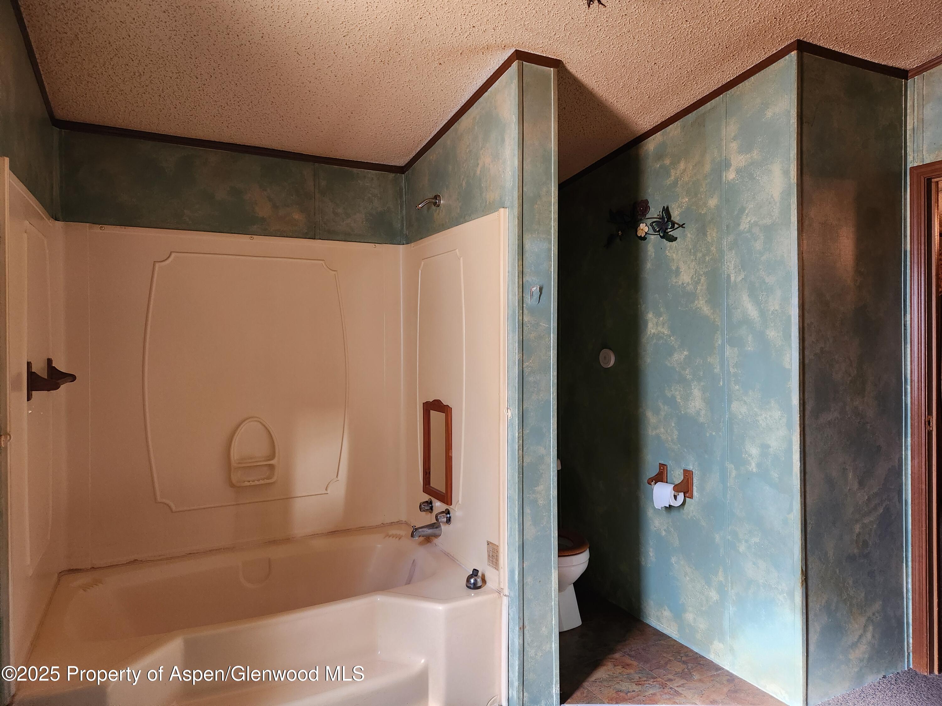 73 Silver Queen Circle Battlement Mesa, CO 81635 - Photo 7 of 13 20250422_102912