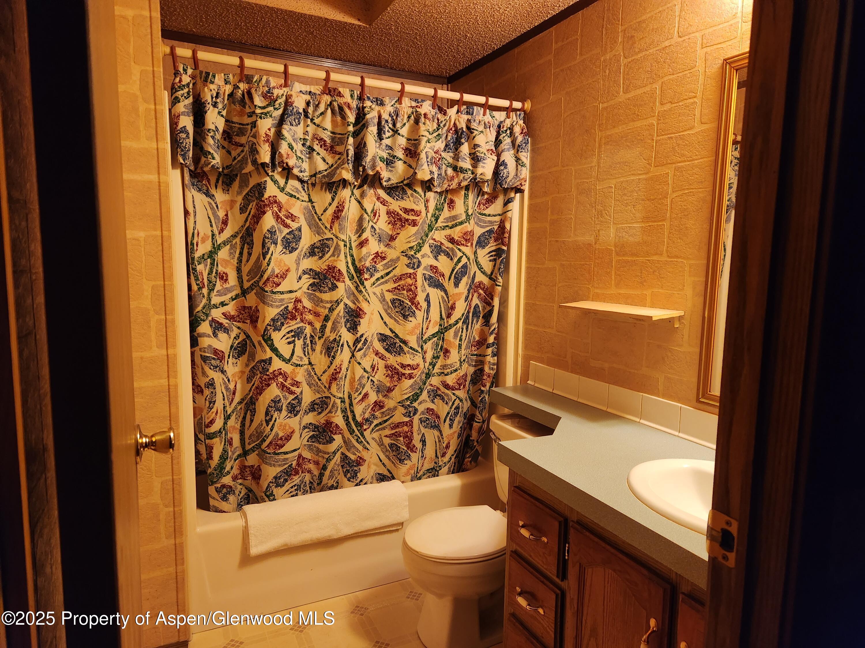 73 Silver Queen Circle Battlement Mesa, CO 81635 - Photo 8 of 13 20250422_102950