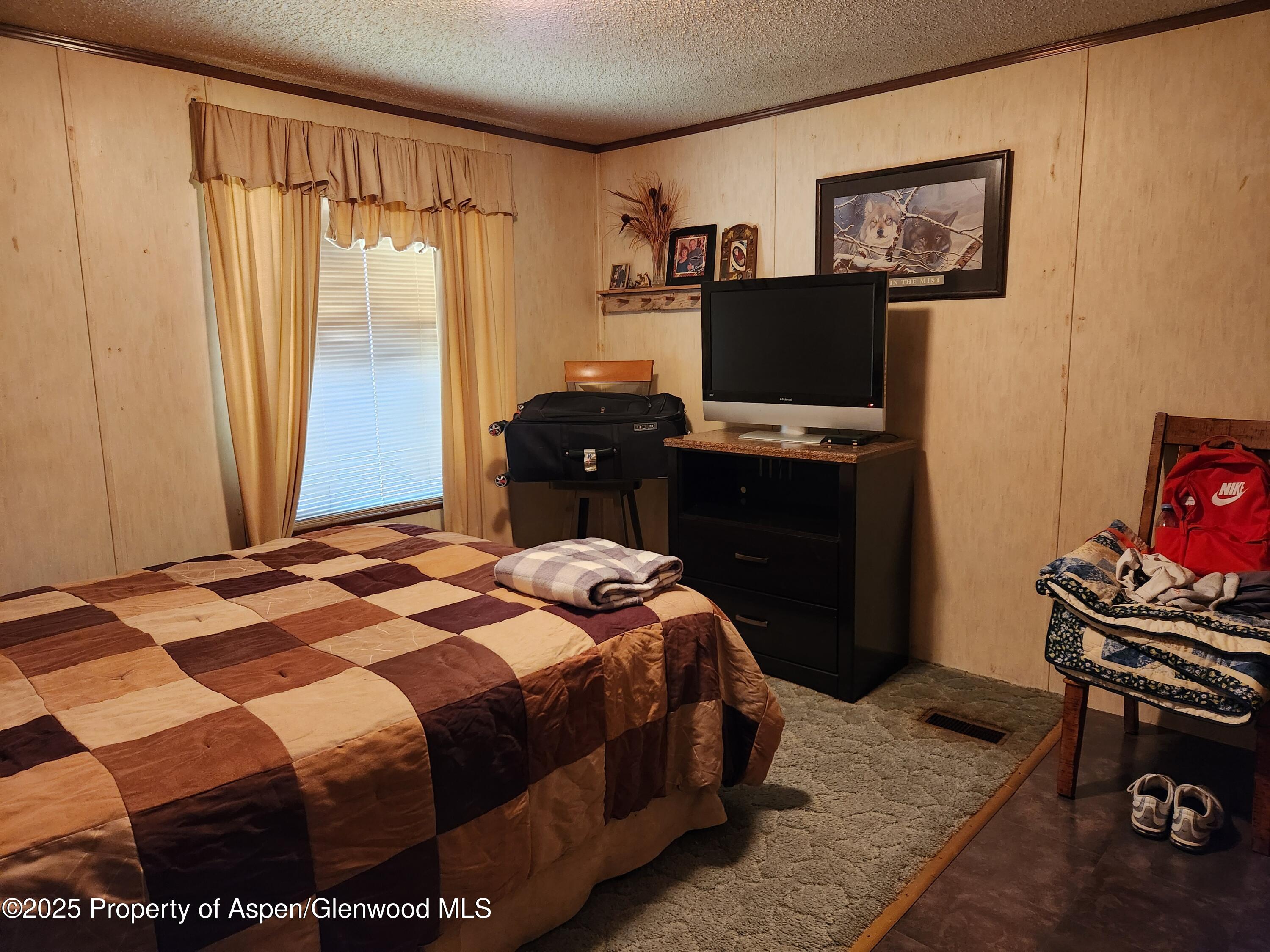 73 Silver Queen Circle Battlement Mesa, CO 81635 - Photo 9 of 13 20250422_103028