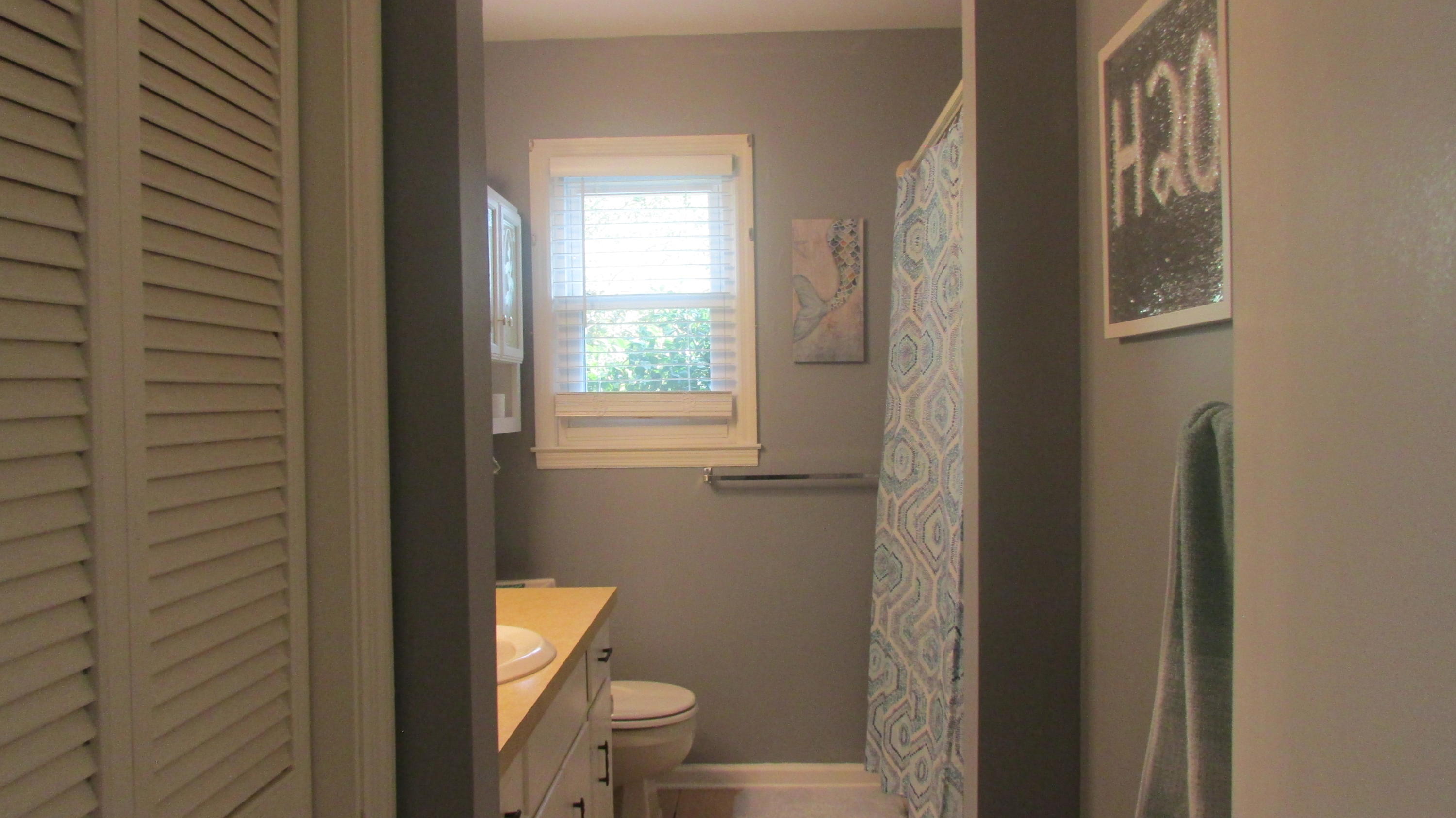 501 Longleaf Road Summerville, SC 29486 - Photo 15 of 25 Hall bath