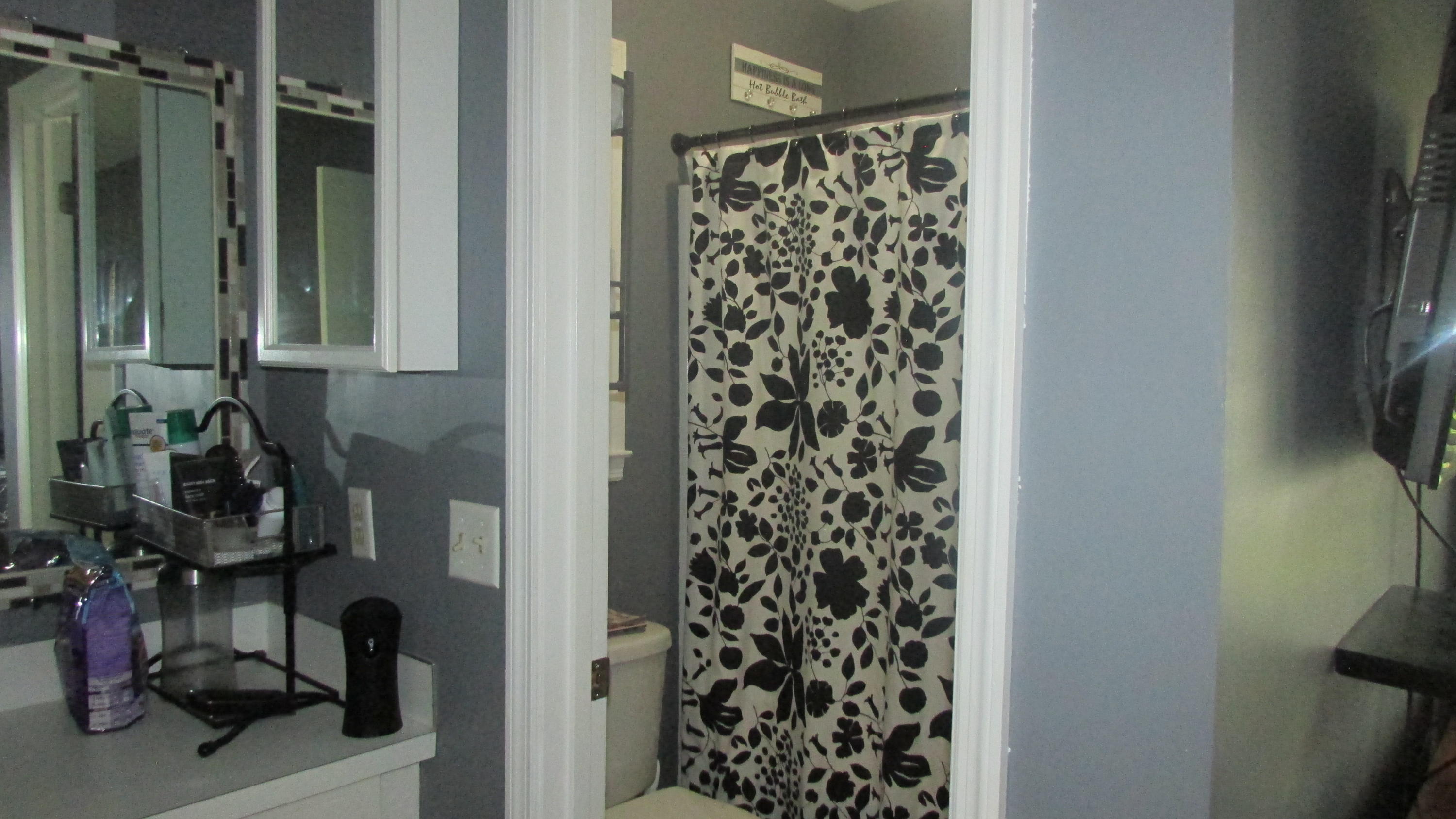 501 Longleaf Road Summerville, SC 29486 - Photo 17 of 25 Master bath