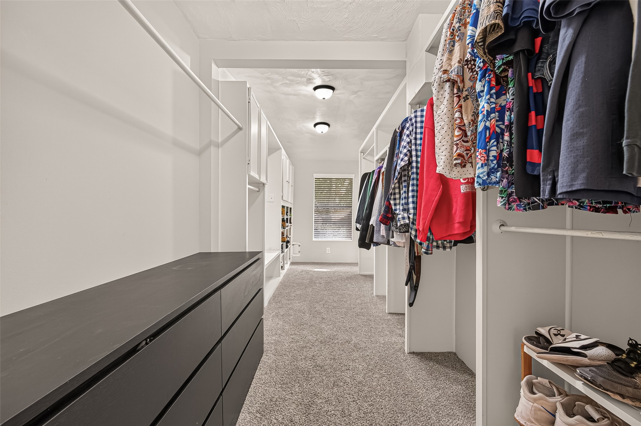 8007 Vickridge Lane Spring, TX 77379 - Photo 25 of 44 Spacious walk-in closet with natural light from two windows and abundant storage