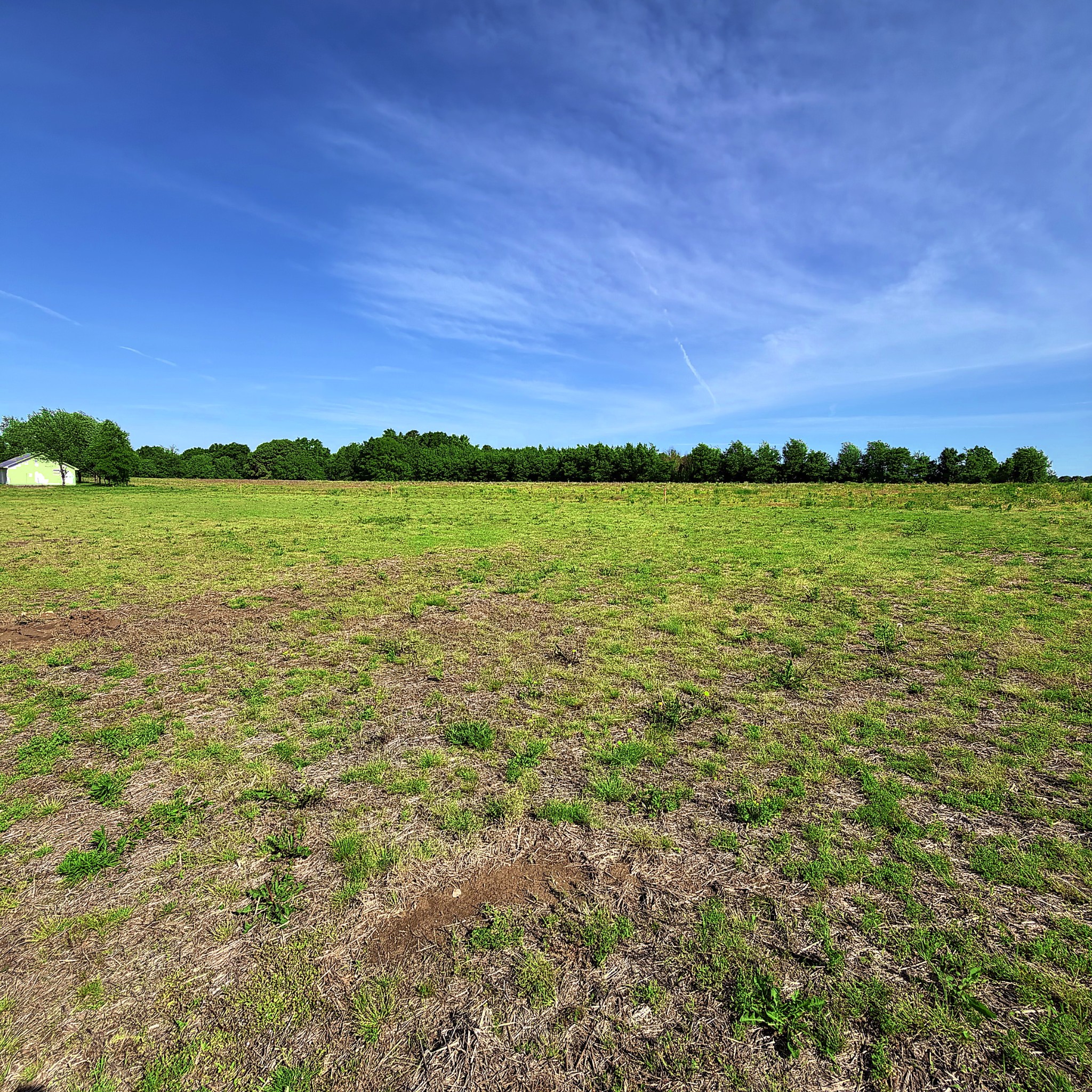 123456 Shannon Road Ardmore, AL 35739 - Photo 3 of 8
