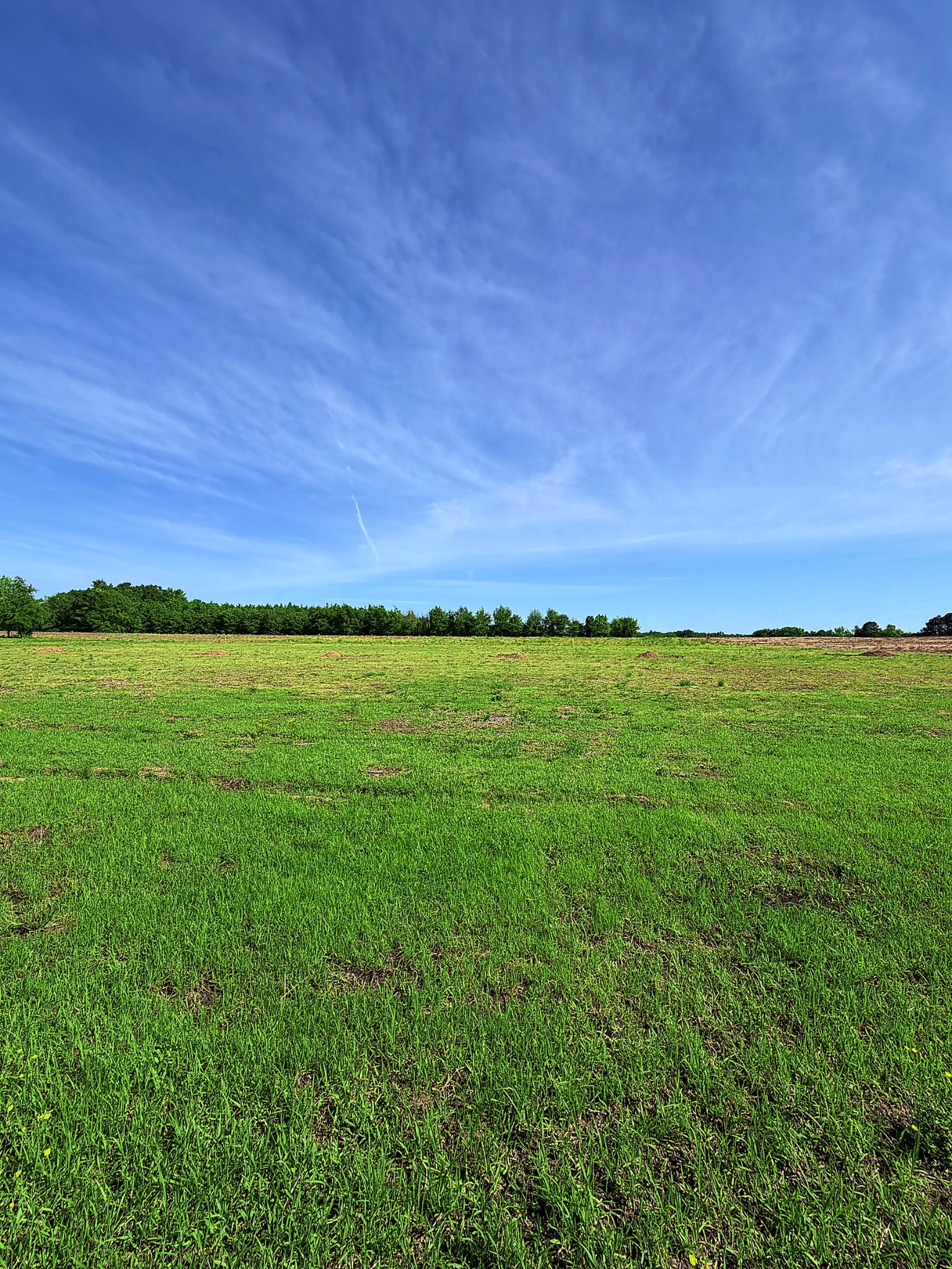 123456 Shannon Road Ardmore, AL 35739 - Photo 4 of 8