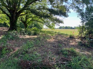 123456 Shannon Road Ardmore, AL 35739 - Photo 7 of 8